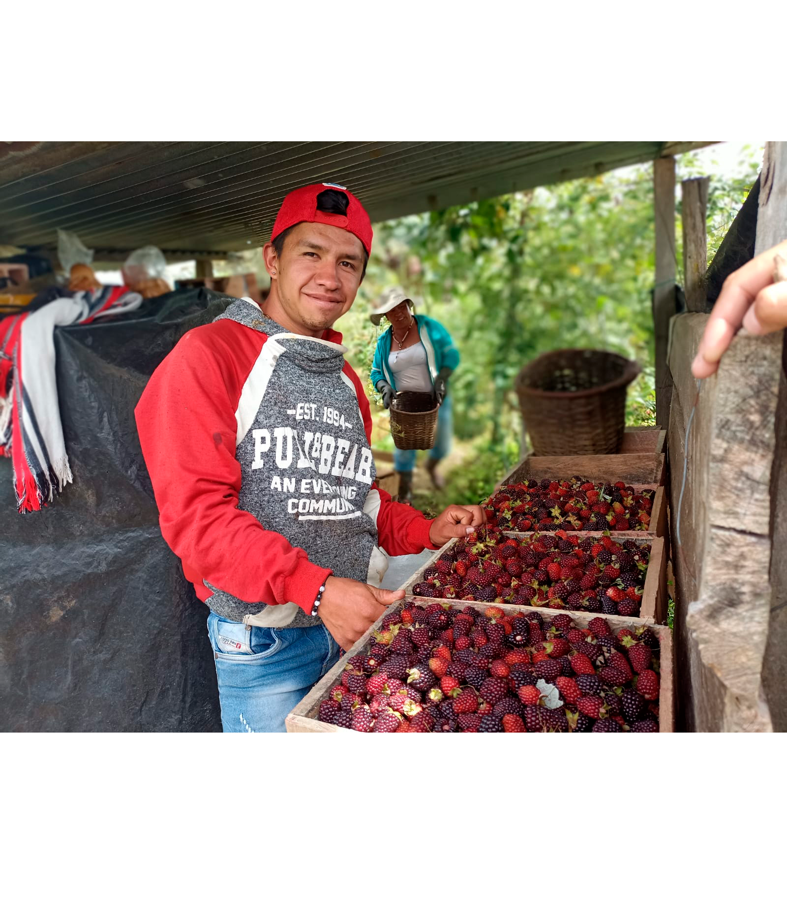 Orgullosos de nuestros campesinos Cundinamarqueses